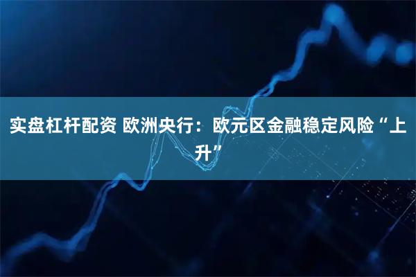 实盘杠杆配资 欧洲央行：欧元区金融稳定风险“上升”